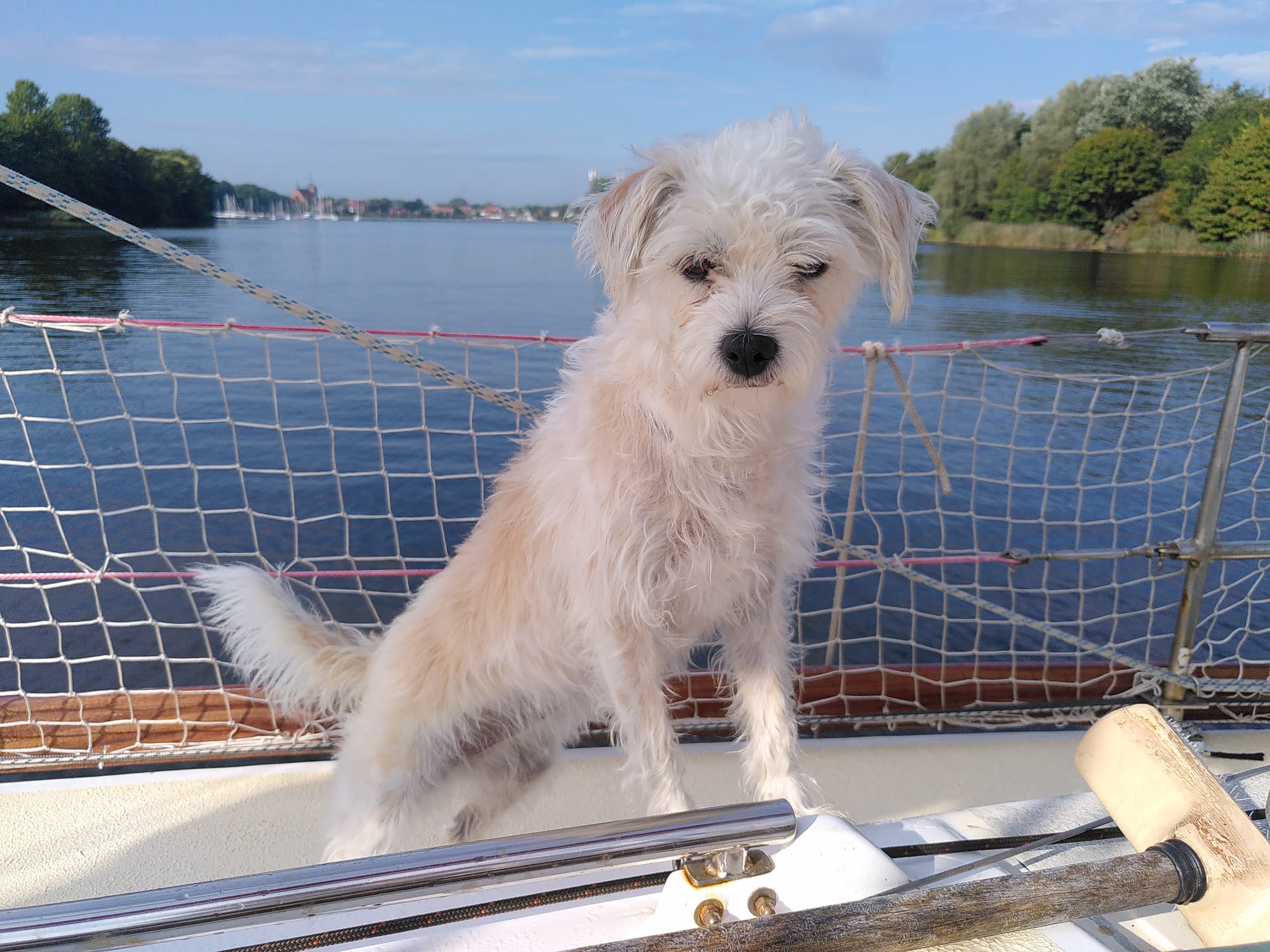 Emma auf dem Vordeck mit Kanal im Hintergrund